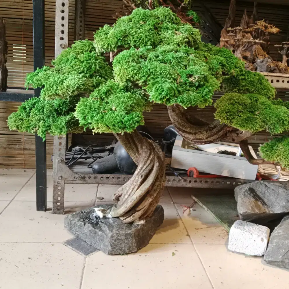 Bonsai hardscape