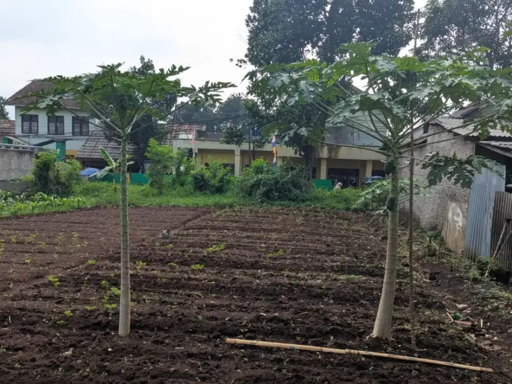 Tanah Siap Dikembangkan 700 m² di Koridor Strategis Jatinangor