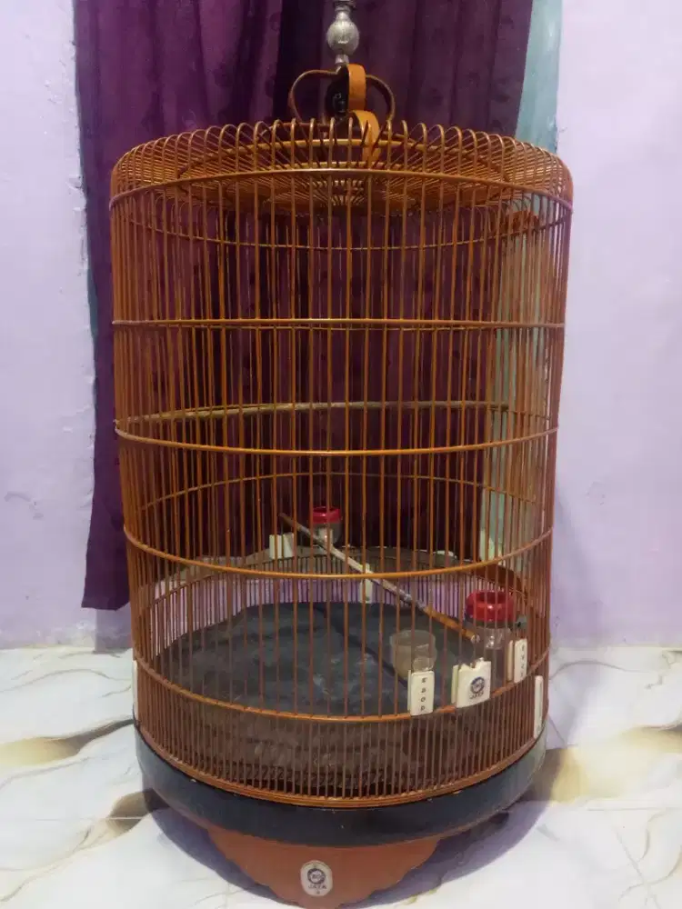 kandang murai ebod no 2