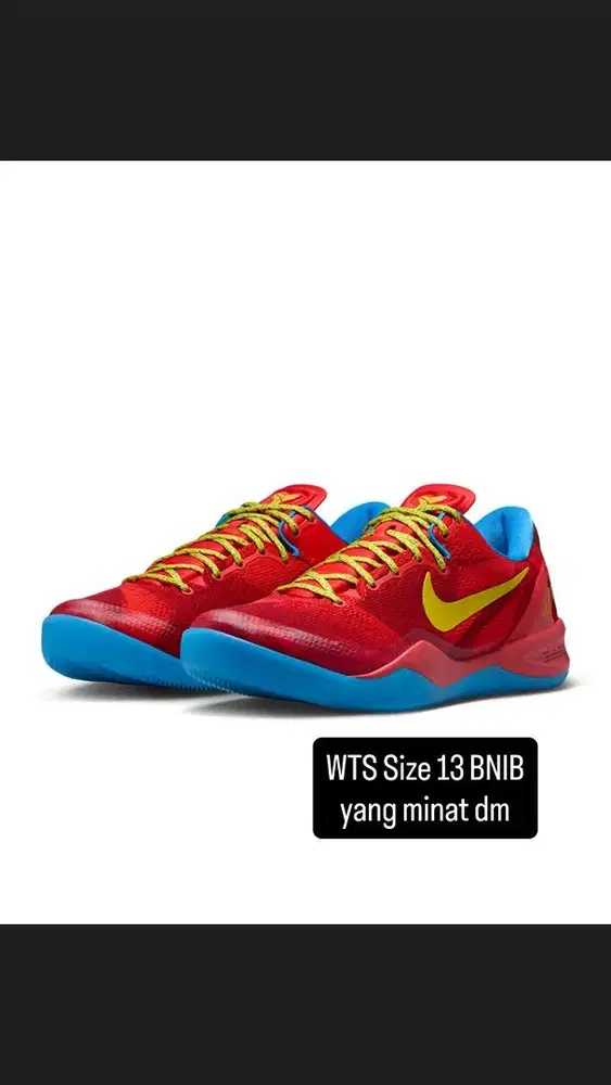 Kobe 8 Protro Year Of The Horse BNIB