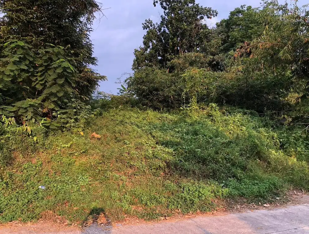 DIJUAL TANAH STRATEGIS MURAH DEPAN MINI SOCCER MAGUWOHARJO