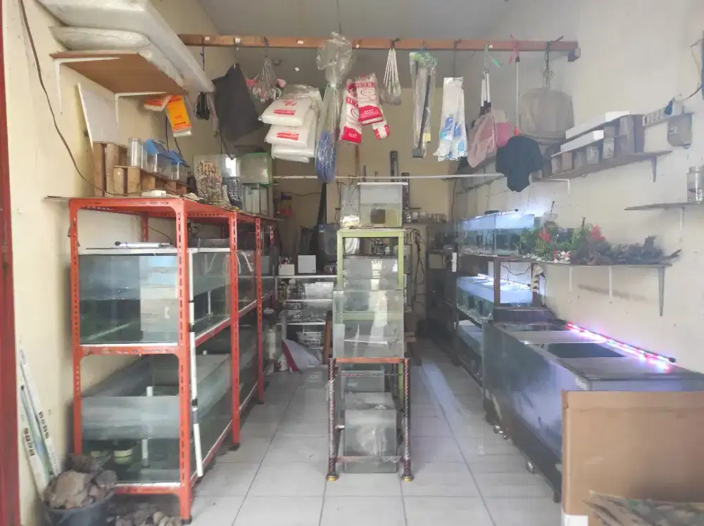 Dijual Peralatan Toko Ikan