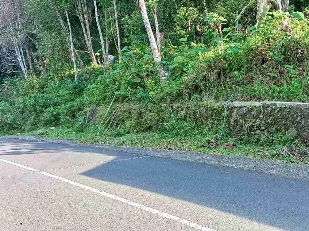 dijual tanah murah,pinggir jalan raya,view istimewa.