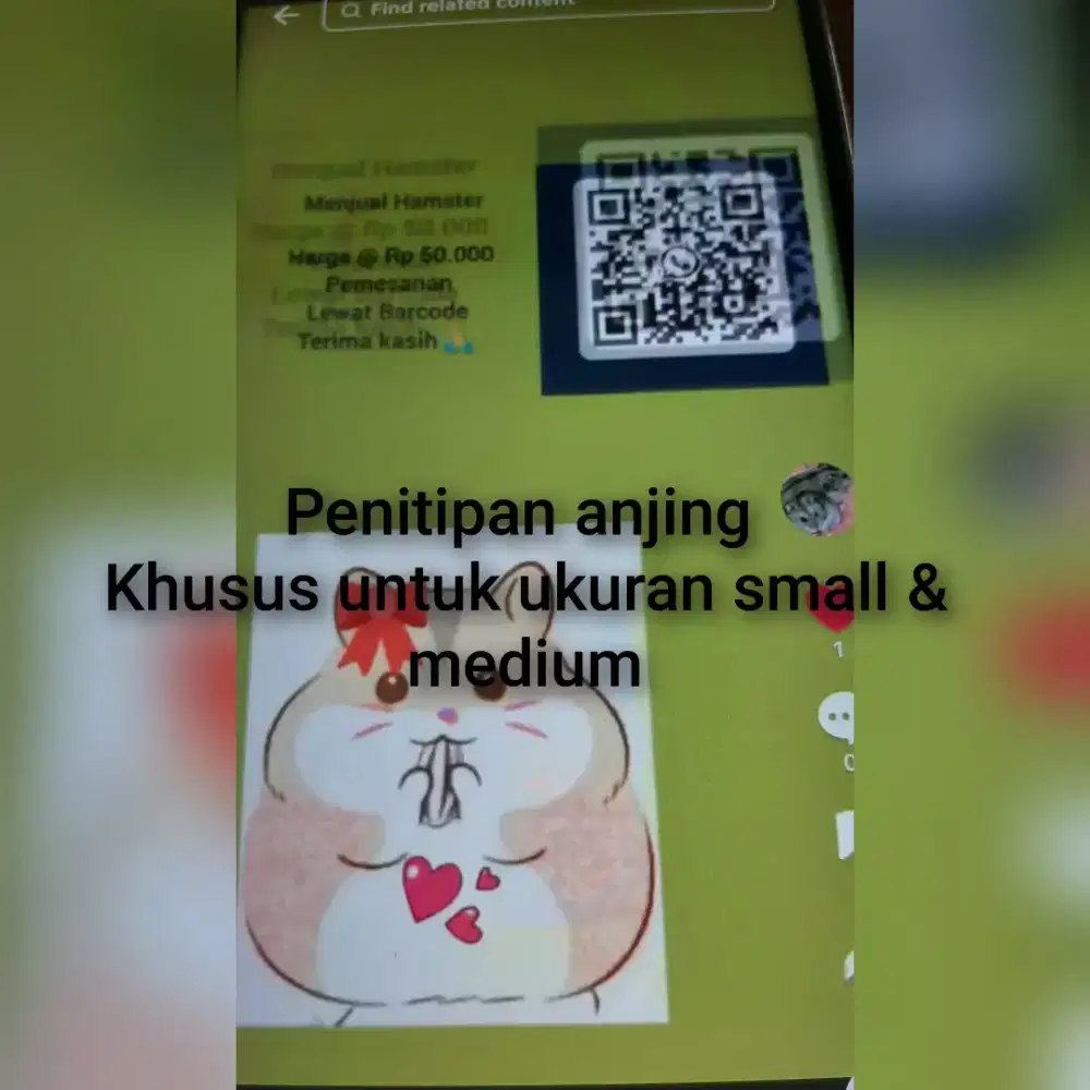 Penitipan anjing bulanan