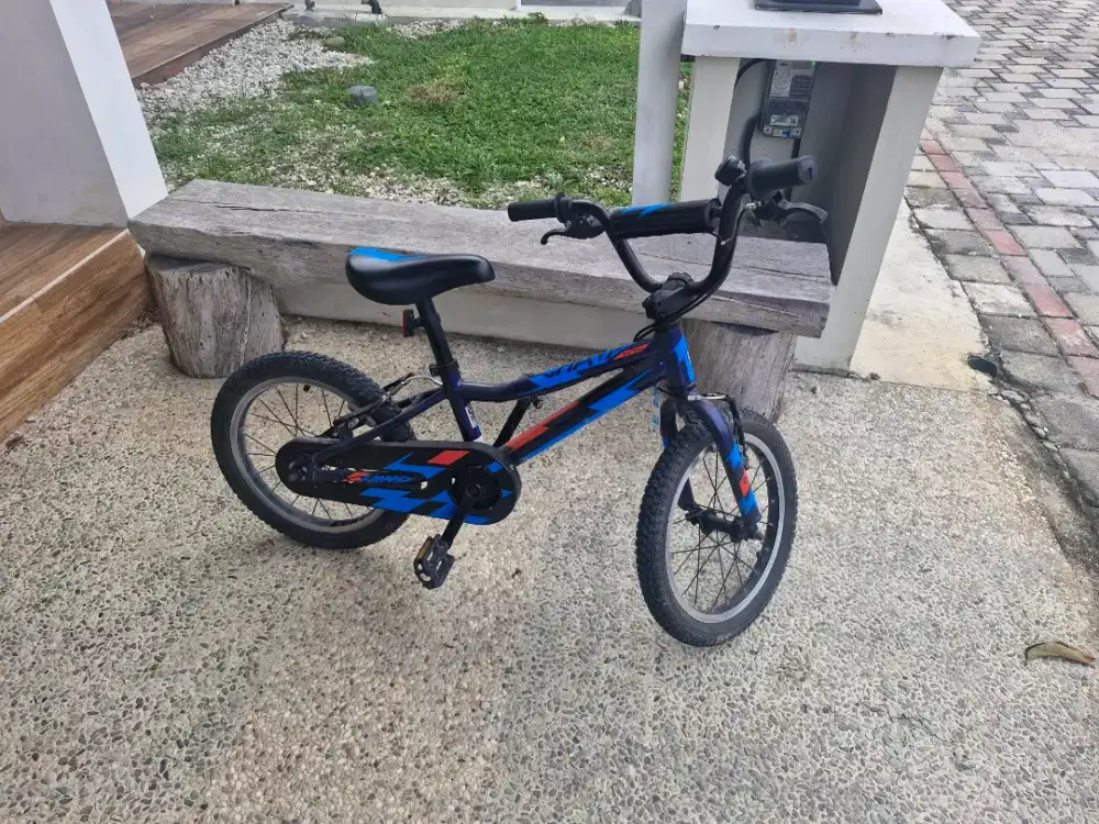 Sepeda anak polygon champ