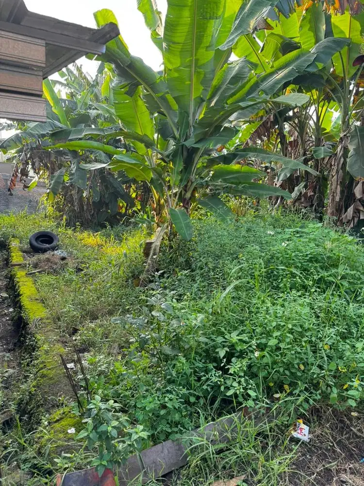 JUAL MURAH DAN CEPAT  TANAH 120 METER