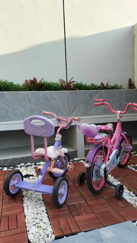 Take All 2 Sepeda Anak