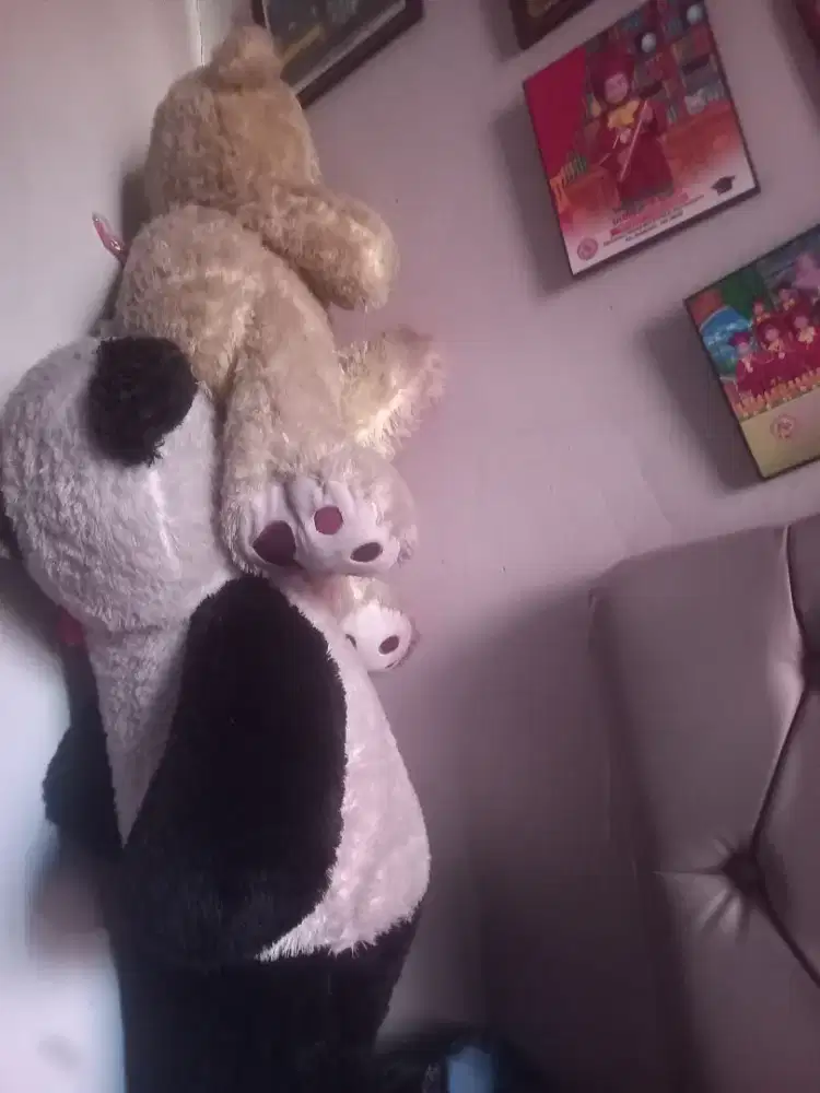 Boneka take all panda jumbo dan teddy