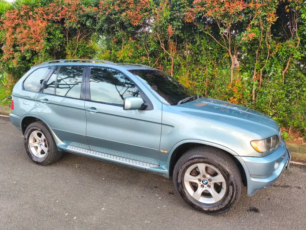 BMW X5 E53 Grey Green - RARE ITEM