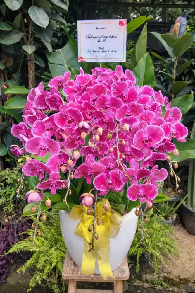 Lowongan design grafis corel, ilustrator, dwg