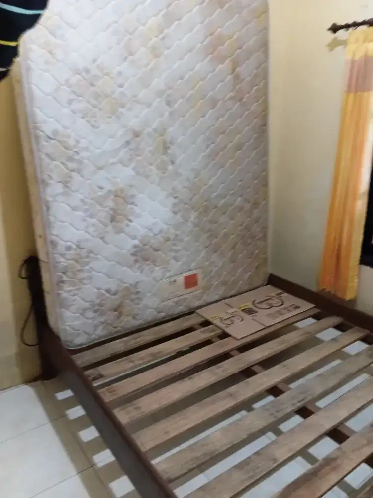 Jual murah 1set Dipam kayu utuh dg Spring bed 1.6mx2m