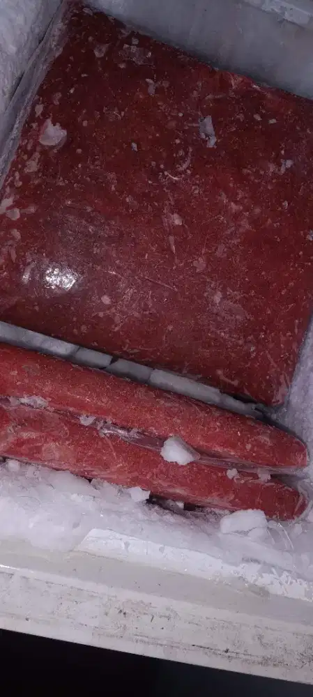 Bahan baku daging ayam giling