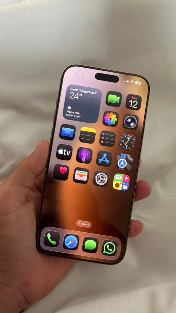 iPhone 16 Pro Max 512 Resmi Dessert