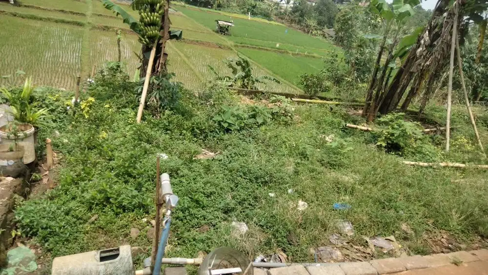 Jual tanah di semarang