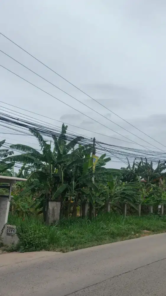 Tanah Dijual di Ciangsana Pinggir Jalan Raya Lokasi Strategis