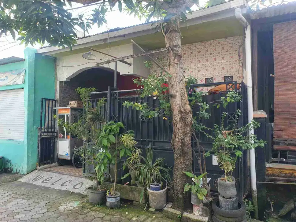 DIJUAL RUMAH 

KEL. : NGABETAN
KEC  : CERME
KAB  : GRESIK
