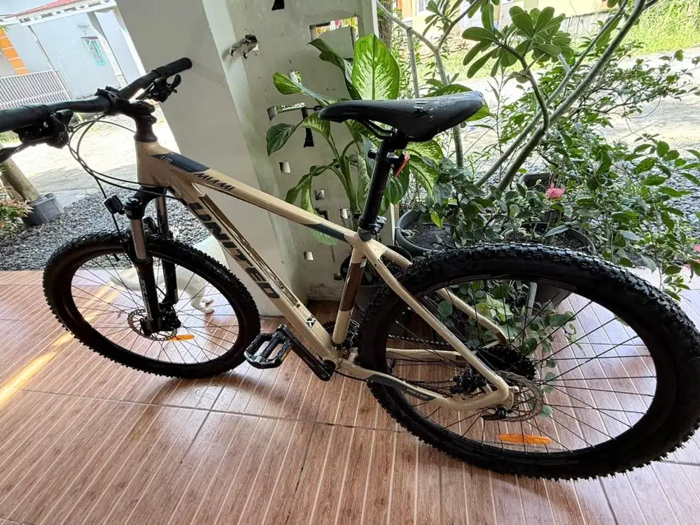 Sepeda United Miami 4.00