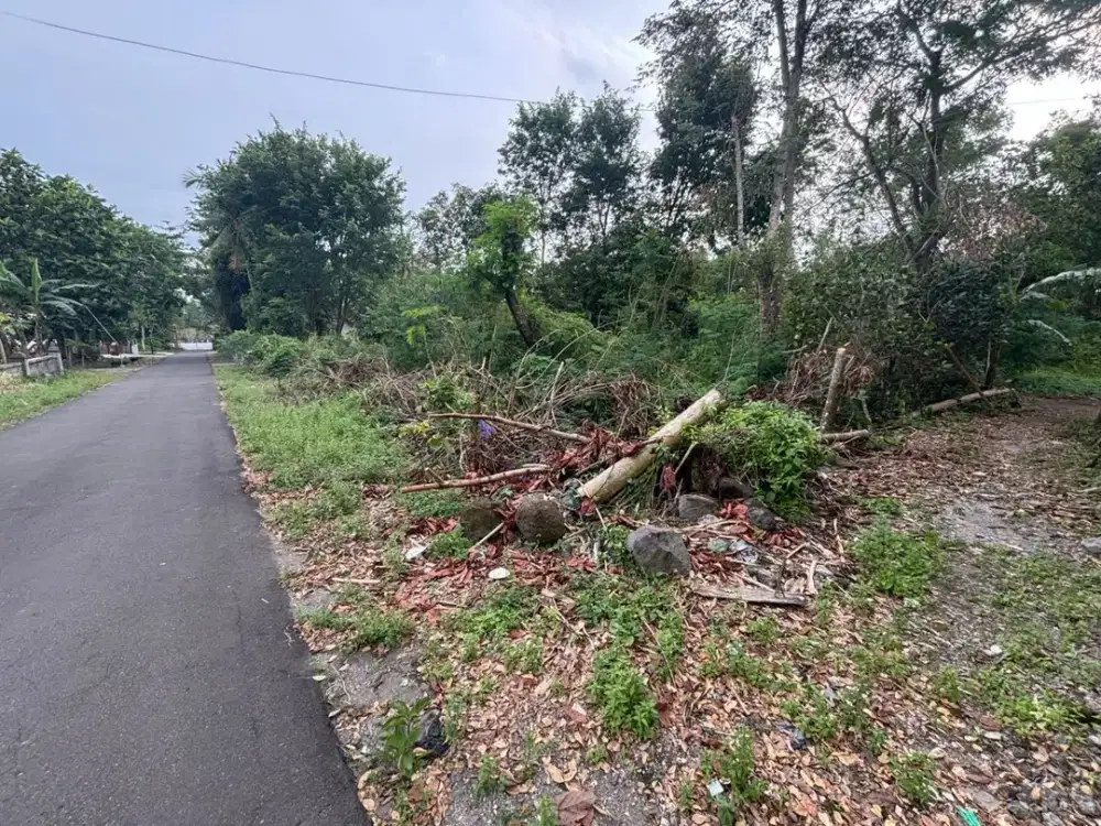 Tanah Kalasan 600 Meter Jl. Raya Pakem-Kalasan