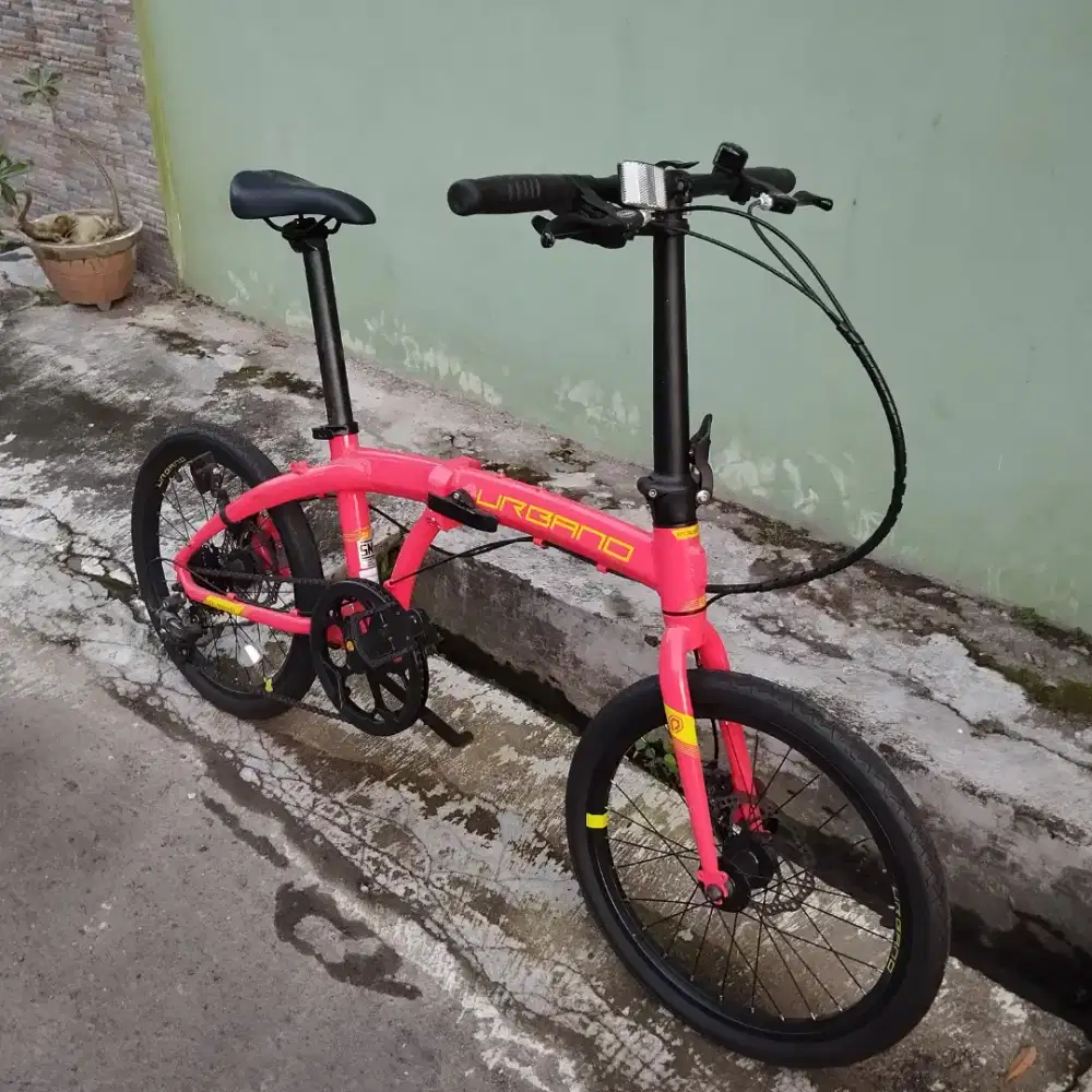 Polygon urbano 3 mulus