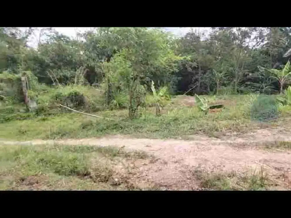 di jual tanah kebun shm murah di leuwisadeng