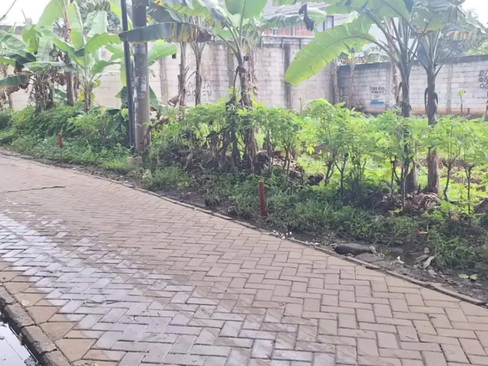 Harga Murah 10 Menit Stasiun Rawa Buntu Tanah Kavling SHM