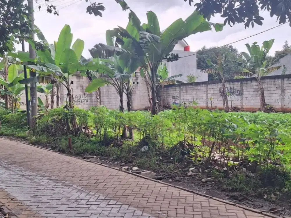 Harga Murah 10 Menit Stasiun Rawa Buntu Tanah Kavling SHM