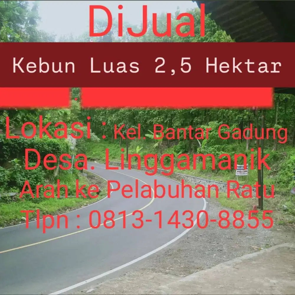 Dijual Tanah luas 2.5 Hektar