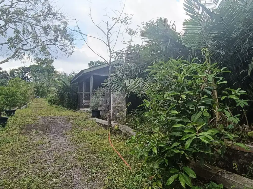 DIJUAL LAHAN LOKASI STRATEGIS KAWASAN TURI KABUPATEN SLEMAN