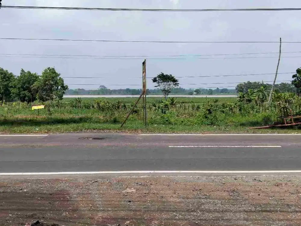 MRH! TANAH PAGADEN SUBANG 5000m2