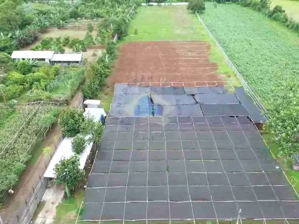 Dijual Tanah Di Dangdang, Cisauk Tangerang