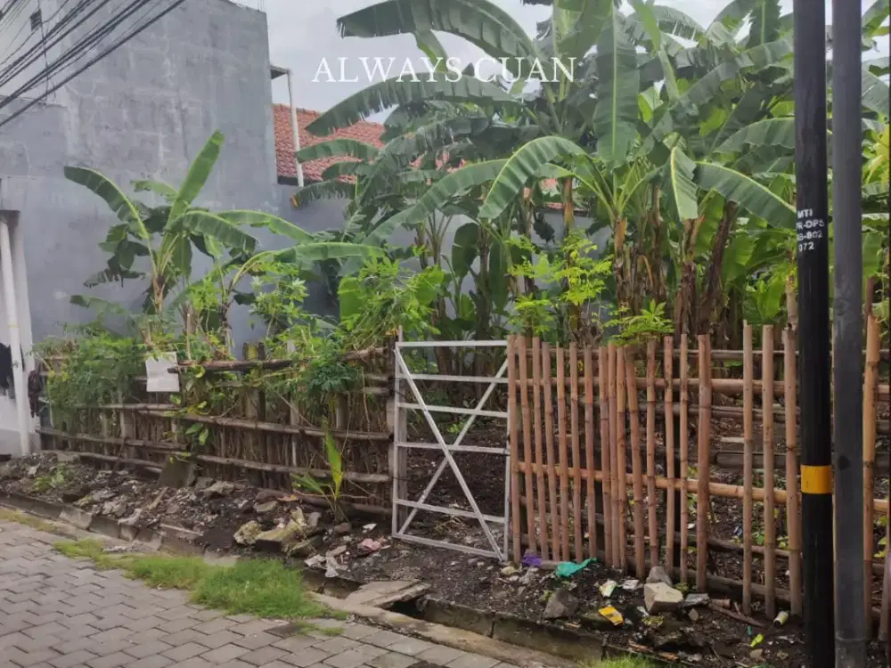 Tanah Datar Siap Bangun Lokasi Gelogor Carik