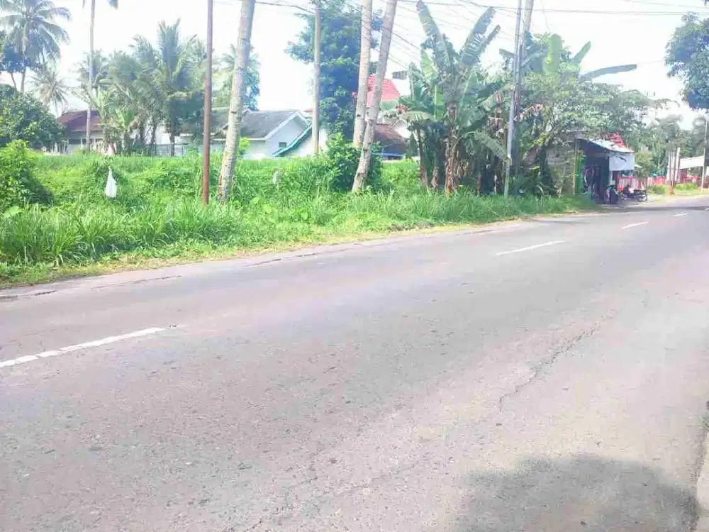 Dijual sawah di Sukowono JEMBER