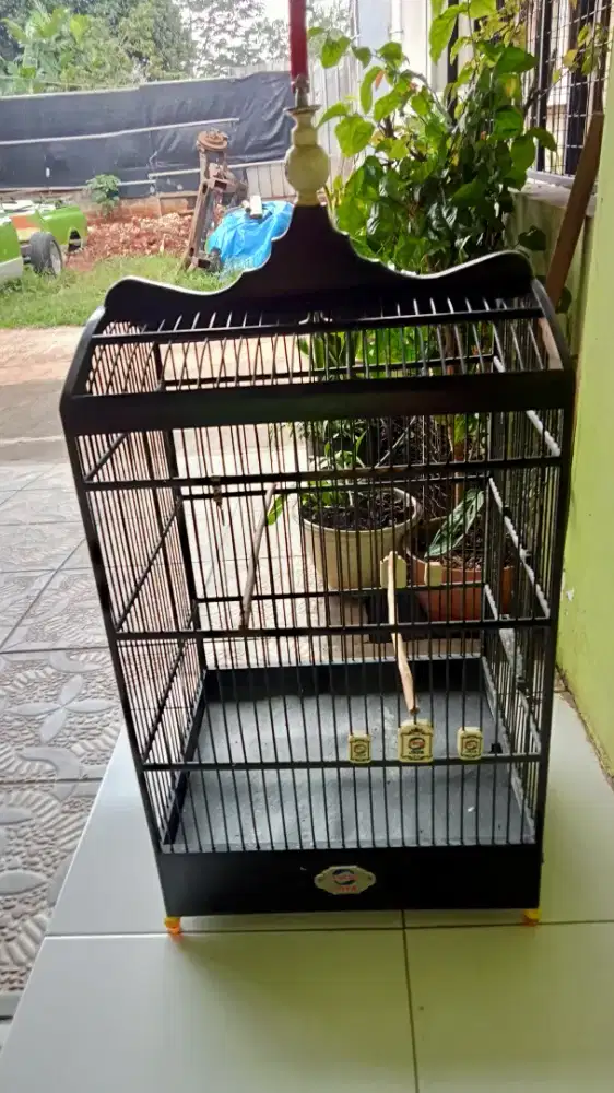 Kandang ebod nmr 3