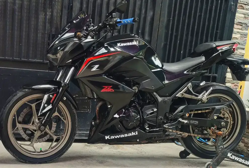 Kawasaki Ninja z250FI