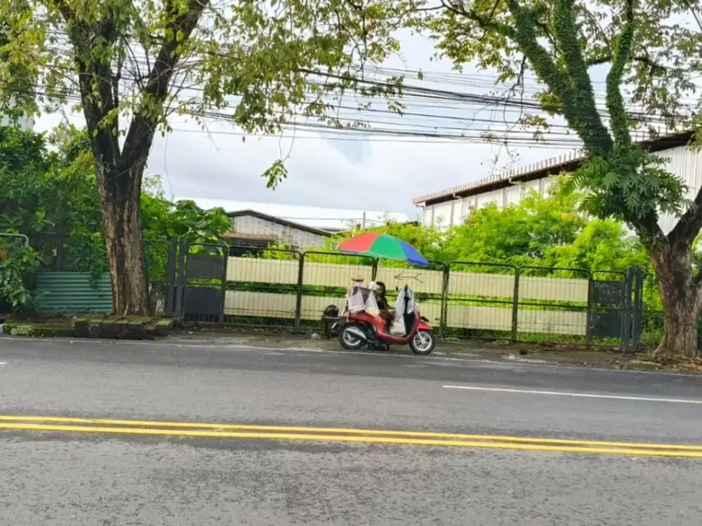 Sewa Tanah Premium Sangat Strategis Untuk Usaha Lokasi Di Jalan Utama Gatsu Barat Kerobokan Badung Bali.
