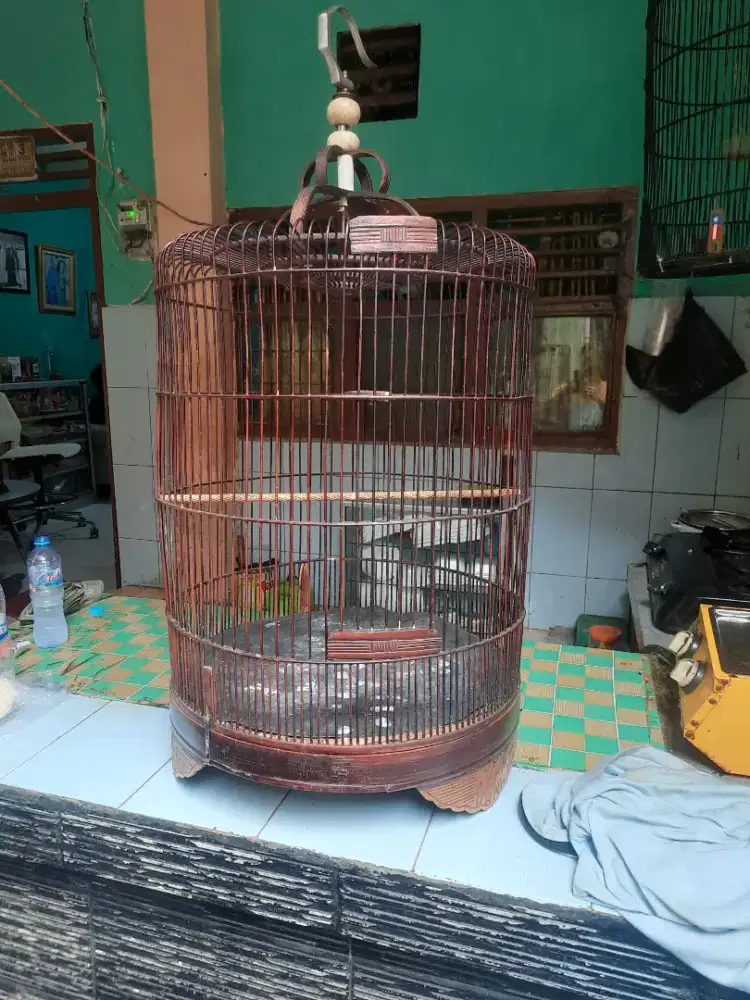 Kandang burung murai no 3