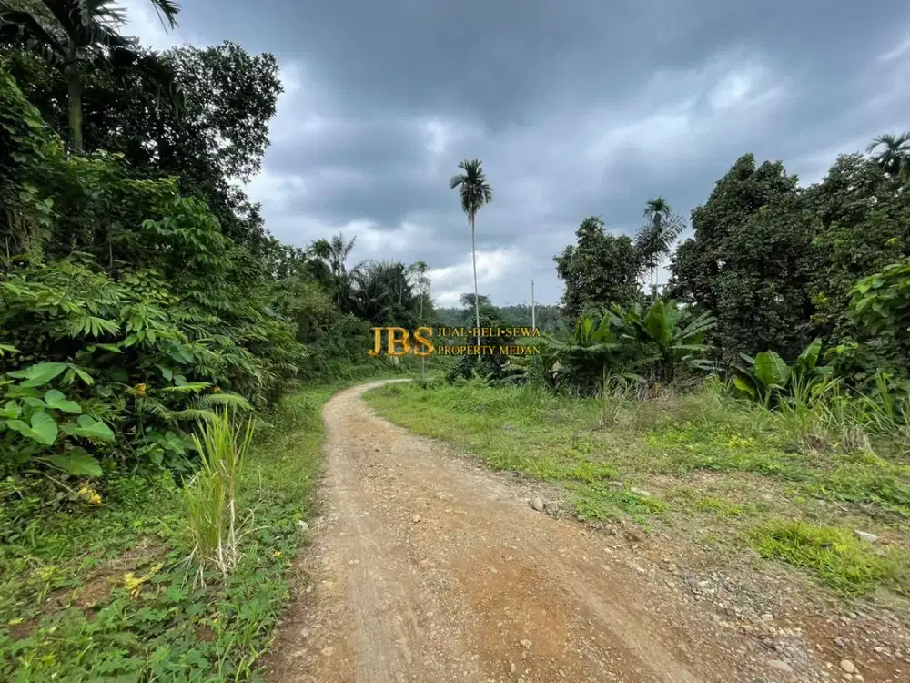 Dijual Tanah di Jalan Namorambe - Sembahe