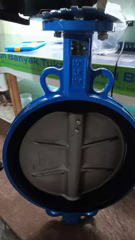 Valve butterfly 10 inch