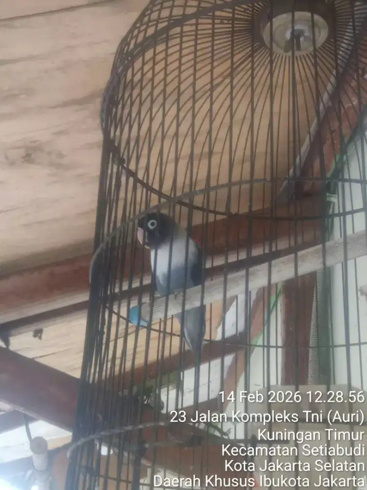 JUAL SANTAI TAPI PASTI