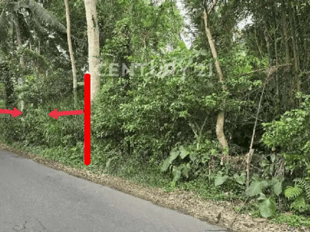 Tanah Luas Dan Strategis  Dengan View Indah Di Ubud Bali