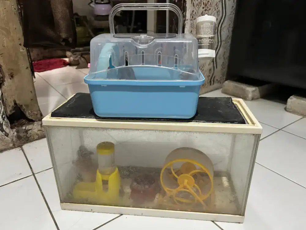 Hamster winter ada 3 beserta kandang dan peralatannya
