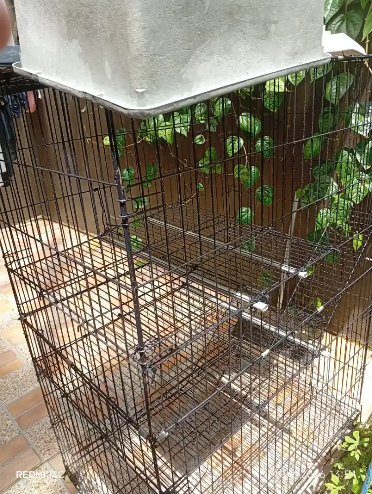 Kandang kucing besar