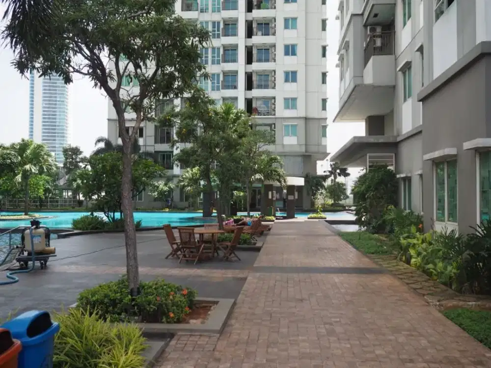 dijual 1 br Thamrin Residence murah view kolam renang