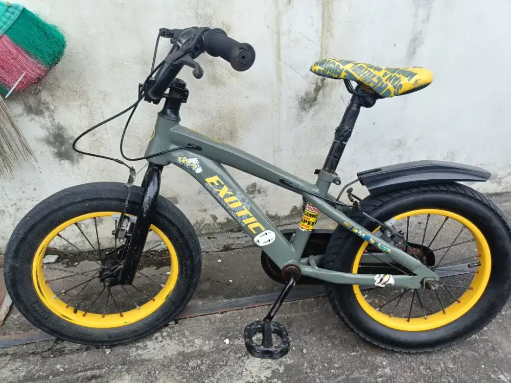 Sepeda Anak Exotic