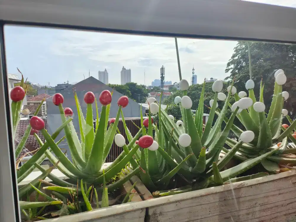 LOWONGAN STAFF PRODUKSI