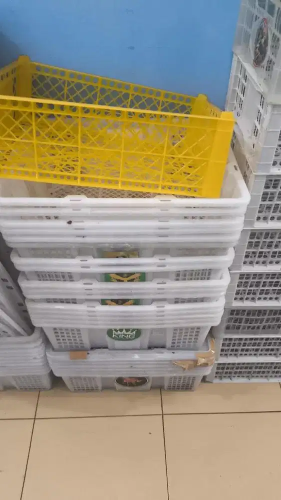 Keranjang buah bekas, papan telur, keranjang rotan