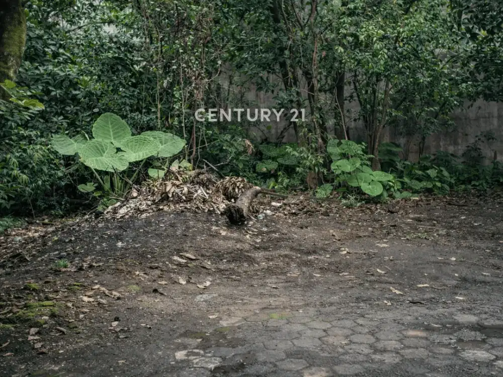 Tanah Pekarangan 123m2 Di Blok O Cocok Untuk Bisnis Kos