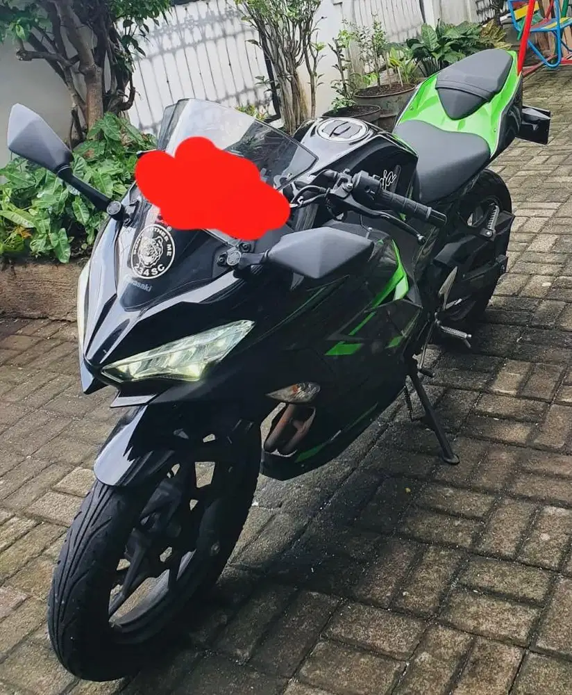Kawasaki Ninja 250 FI SE Non ABS