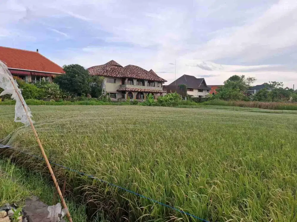 tanah kutat lestari Sanur bali