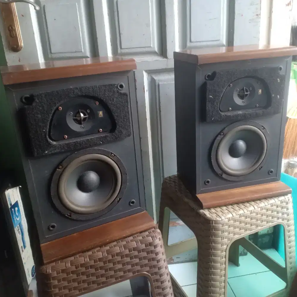 Speaker 6 inch AR tsw 110 istimewa